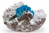 Vibrant Blue Cavansite Cluster on Stilbite - India #306055-2